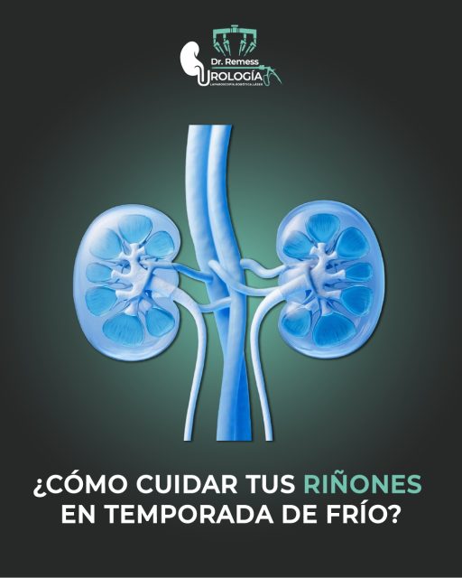 ❄️ Cuidar tus riñones durante el frío es esencial. Mantente bien hidratado y sigue hábitos saludables para apoyar su función y evitar complicaciones. ¡Tu bienestar renal es prioridad!

👉 Haz pequeños cambios en tu día a día, como reducir el consumo de sal y mantenerte bien hidratado.